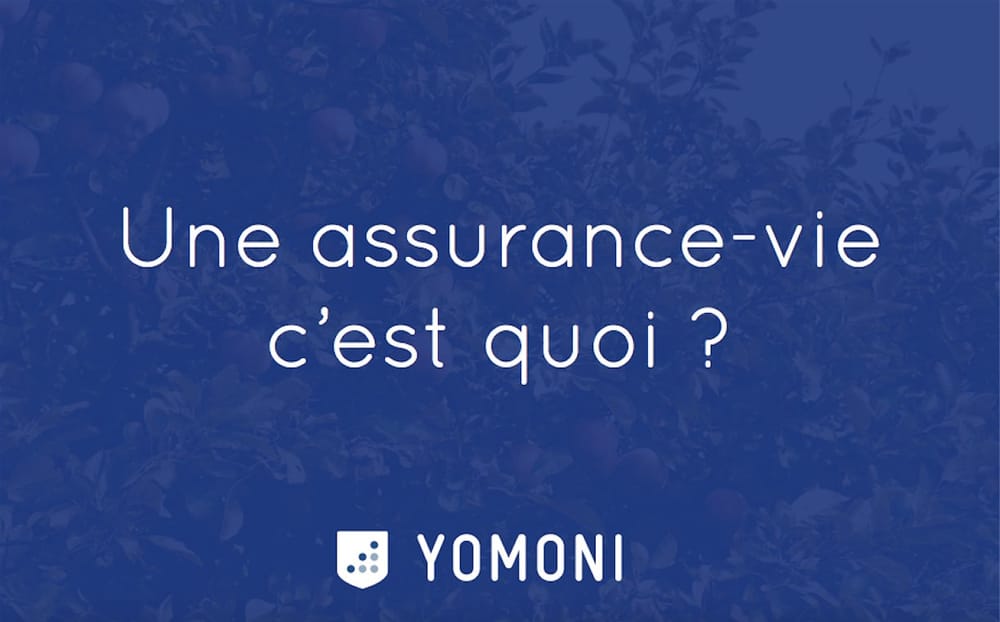 L’assurance-vie en trois minutes chrono (ou : l'assurance-vie expliquée aux nuls) image de l'article