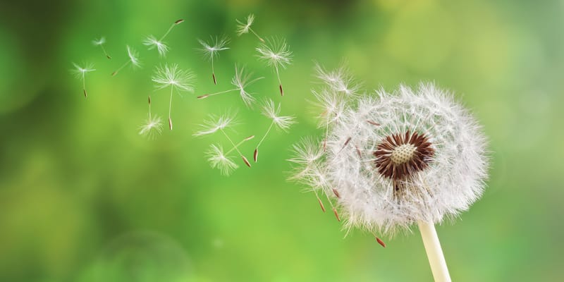 Une inévitable stagnation séculaire ? image de l'article