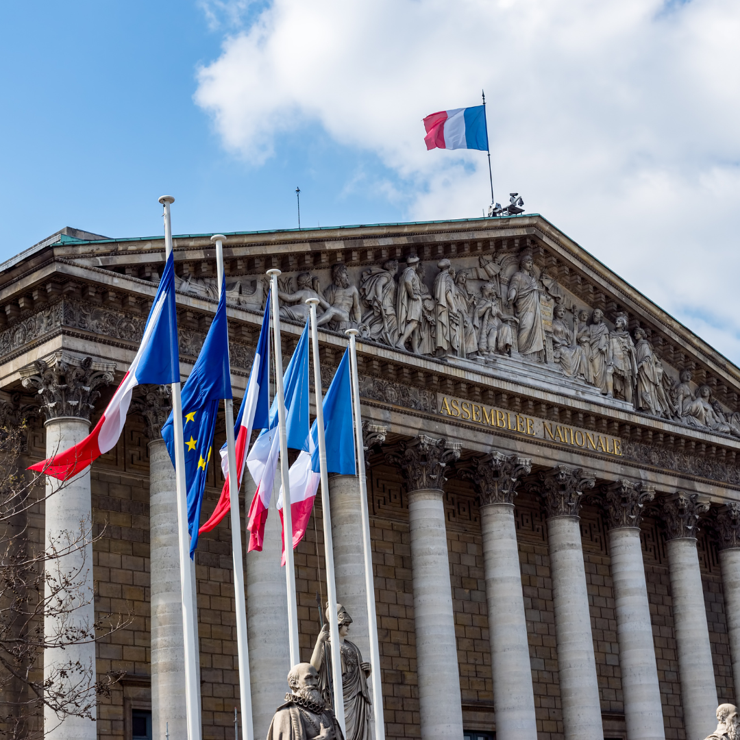 Quel est l'impact de la dissolution de l'Assemblée nationale sur mon portefeuille Yomoni? image de l'article