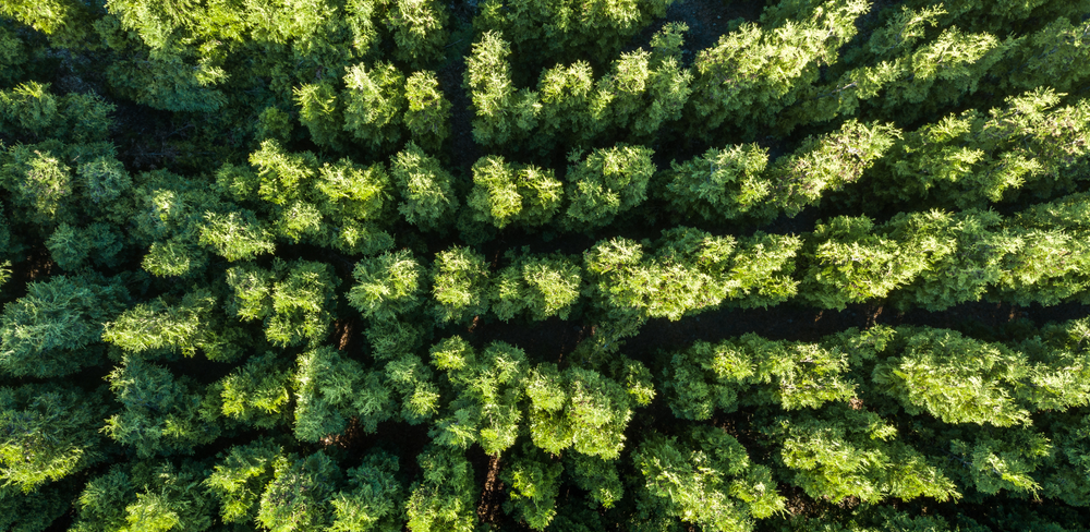 L’Europe progresse vers ses engagements climat de 2030 image de l'article