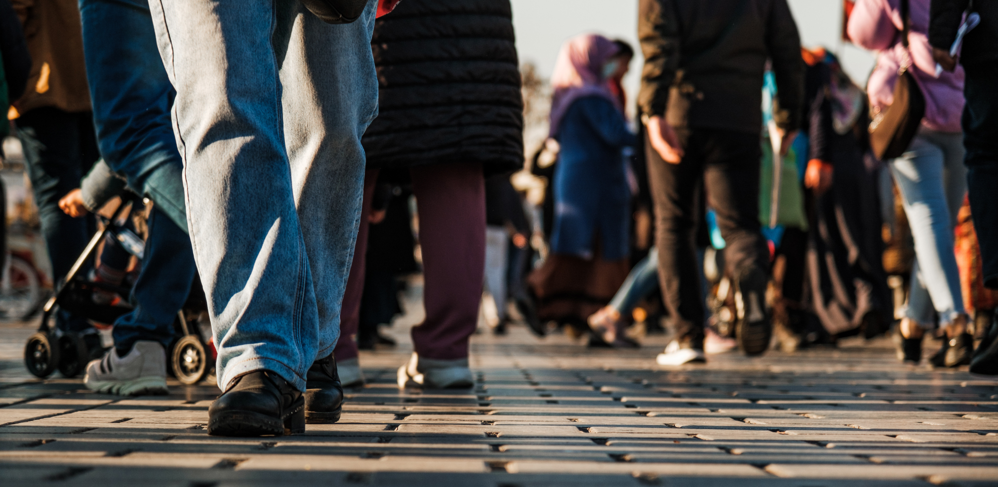 Perspectives & actualités : 24 au 28 février 2025