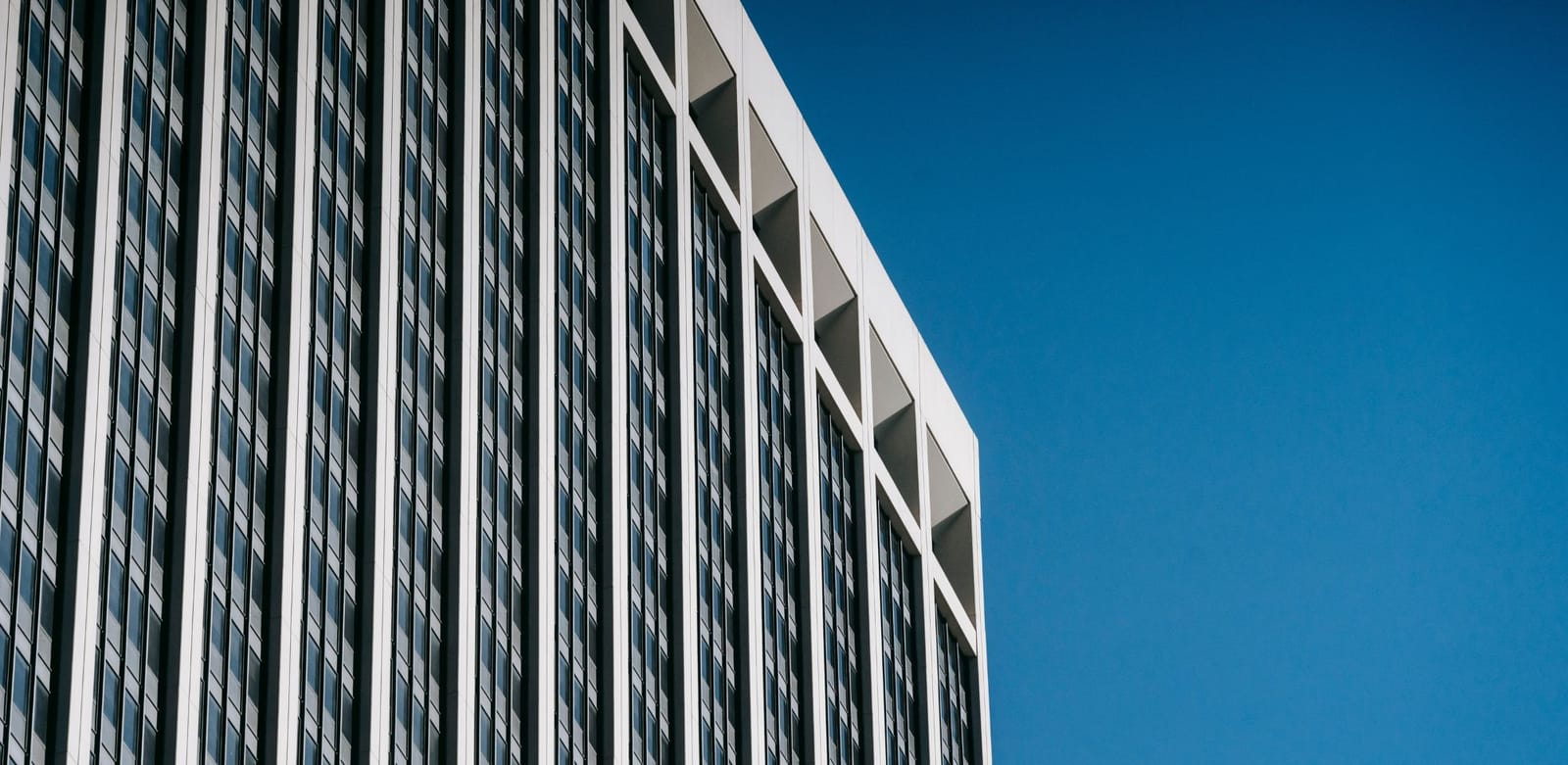 Perspectives & actualités : 17 au 21 novembre 2025