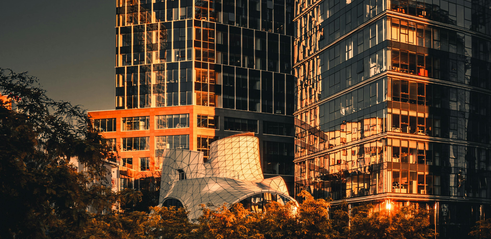 Perspectives & actualités : 29 décembre au 2 janvier 2026